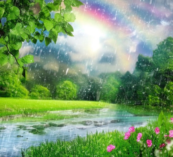 一场雨后的资讯之美 一场雨后的资讯之美